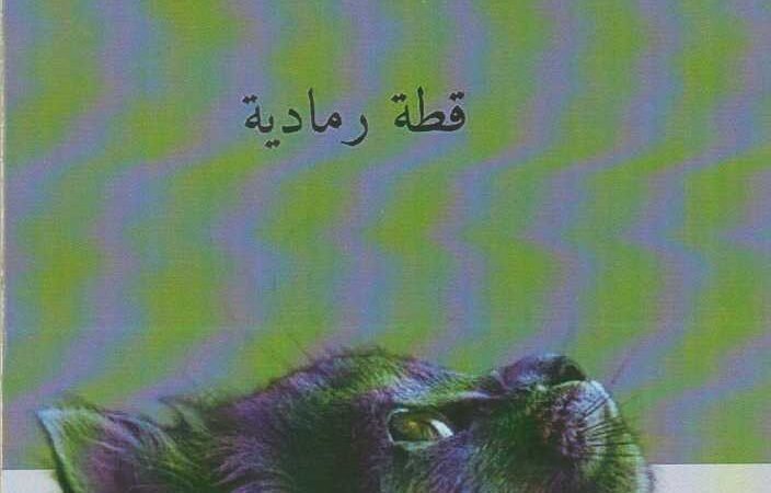 قطة الرمادية