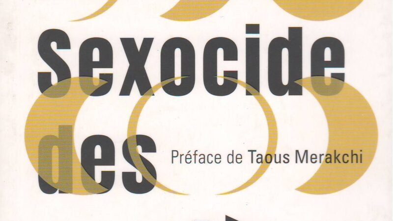 Le Sexocide des sorcieres