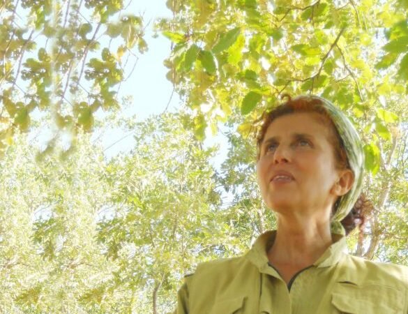 Sekîne Cansız (Sara)