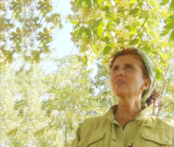 Sekîne Cansız (Sara)