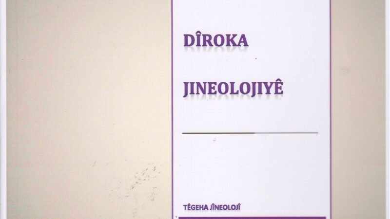 Dîroka Jineolojiyê – Têgeha Jineolojî