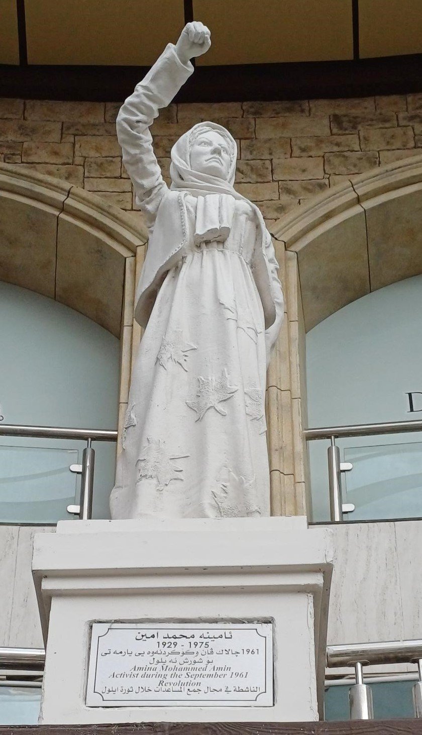 Amîne Mohammed Saeed