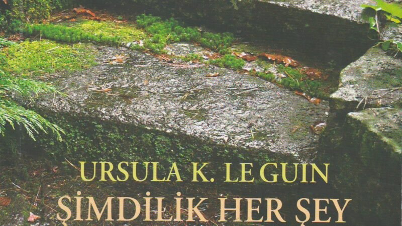 Şimdilik her şey yolunda