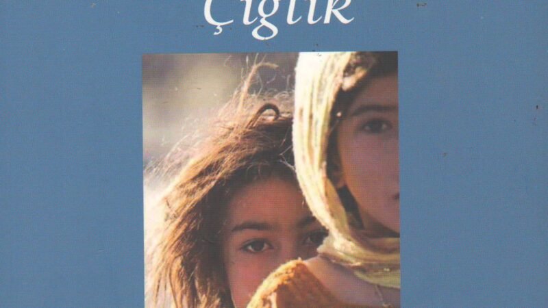 Dağların Ardındaki Çığlık