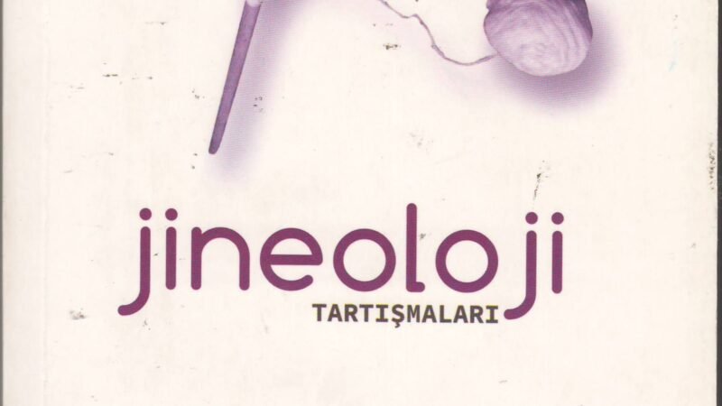 Jineoloji tartışmaları