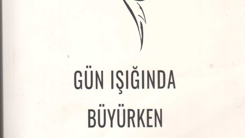 Gün Işığında Büyürken