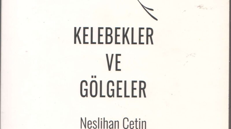 Kelebekler ve Gölgeler
