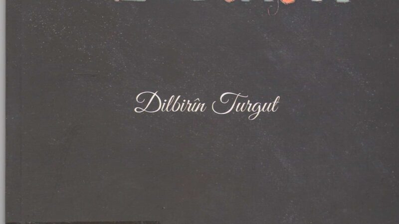 Dıl-Bırin